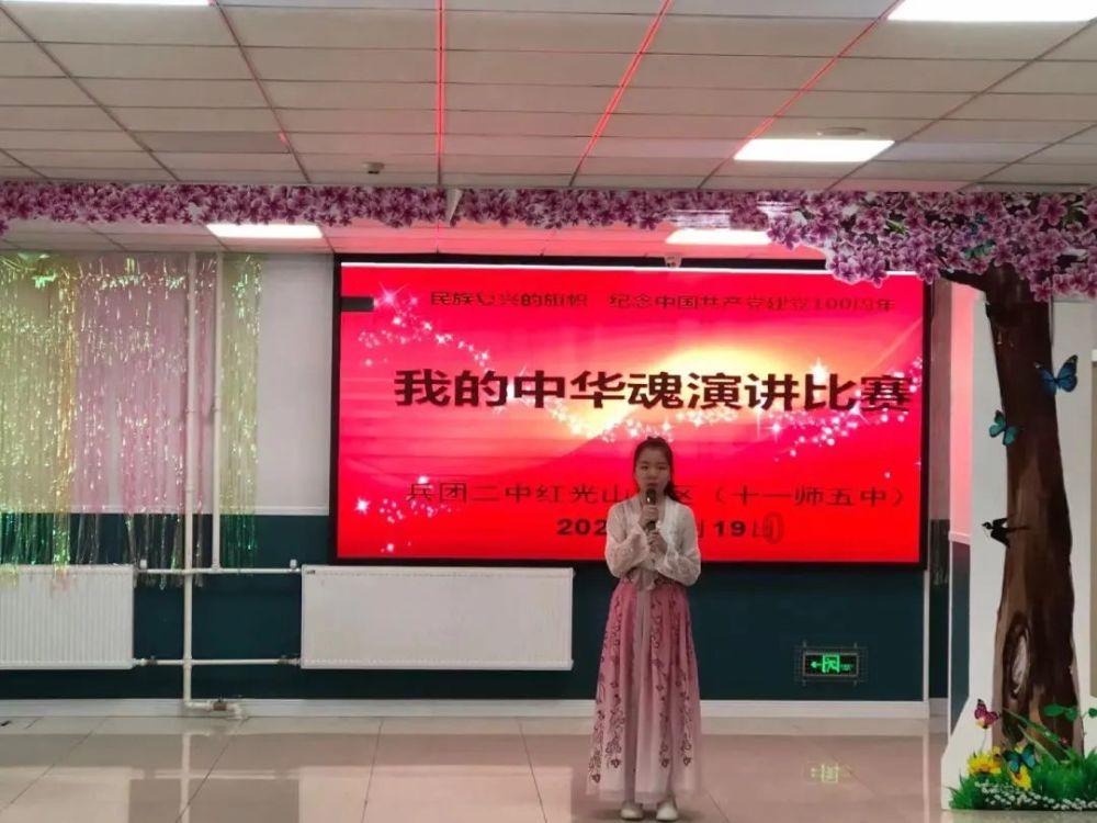探秘狗狗被车撞,发现更多有趣问题答案!